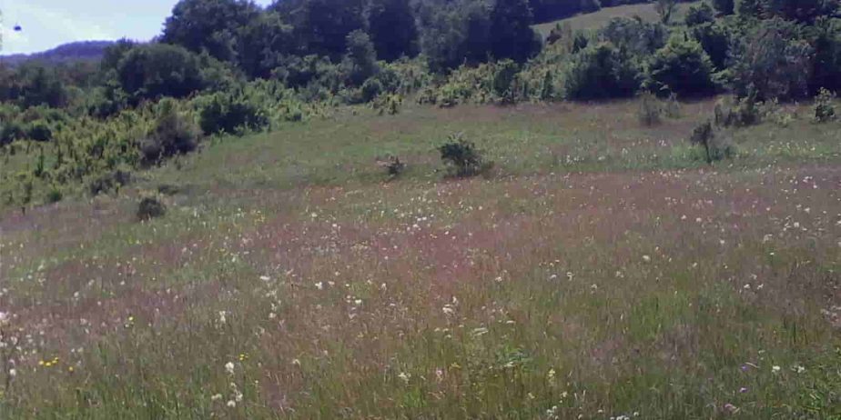 Stara planina placevi!