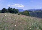 Stara planina placevi!