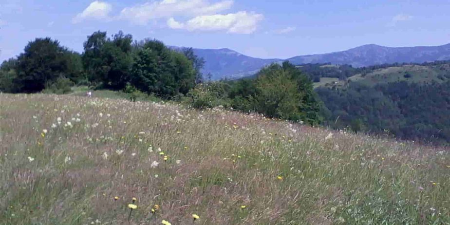 Stara planina placevi!