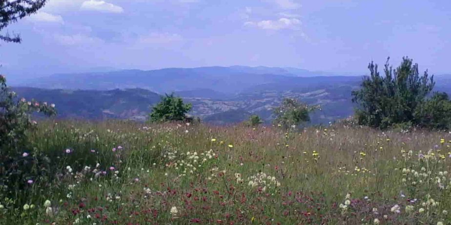 Stara planina placevi!