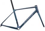 2025 Giant TCR Advanced Pro Frameset (ALANBIKESHOP)