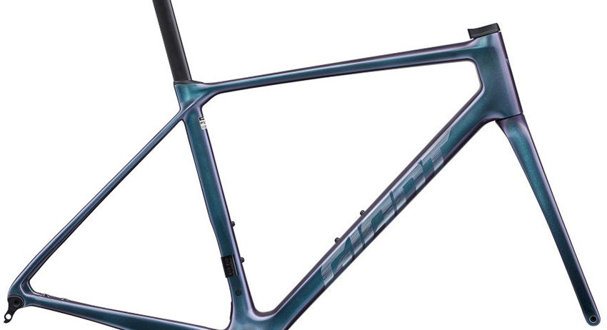 2025 Giant TCR Advanced Pro Frameset (ALANBIKESHOP)