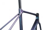 2025 Giant TCR Advanced Pro Frameset (ALANBIKESHOP)