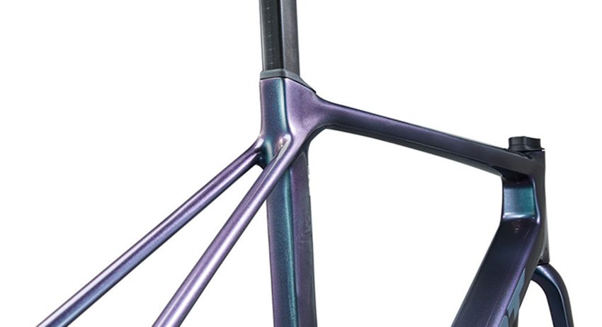 2025 Giant TCR Advanced Pro Frameset (ALANBIKESHOP)