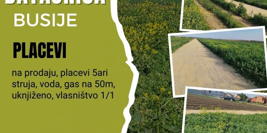 Batajnica, Busije, više odličnih placeva po 5 ari