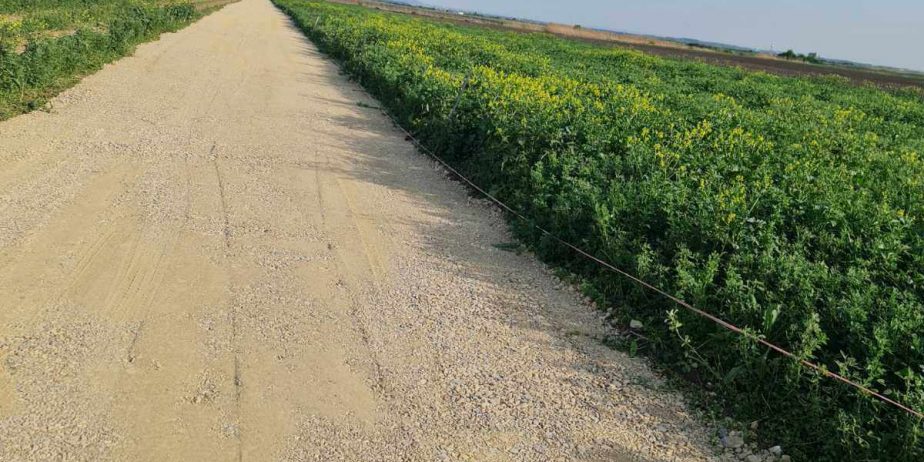 Busije, Male međe, više odličnih placeva po 5 ari na top lokaciji